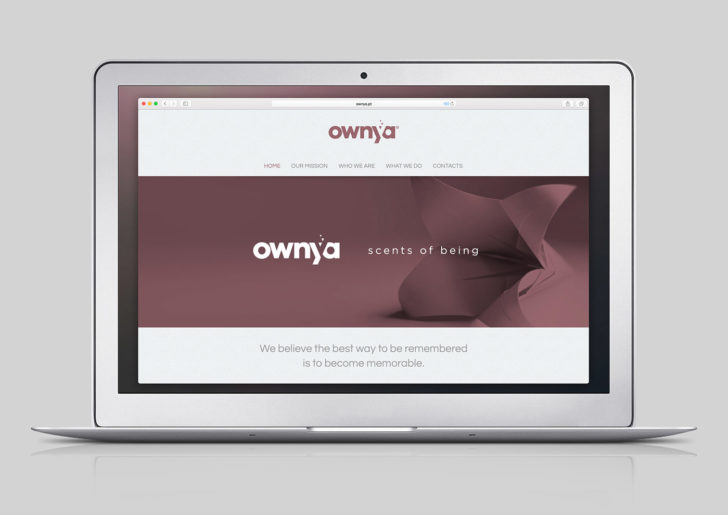 ed2fff50227639.58caac39de915